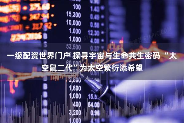 一级配资世界门户 探寻宇宙与生命共生密码 “太空鼠二代”为太空繁衍添希望