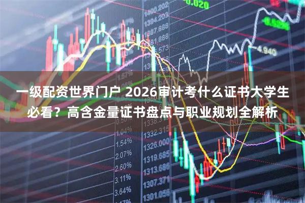 一级配资世界门户 2026审计考什么证书大学生必看？高含金量证书盘点与职业规划全解析