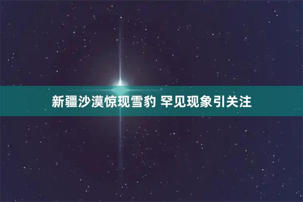 新疆沙漠惊现雪豹 罕见现象引关注