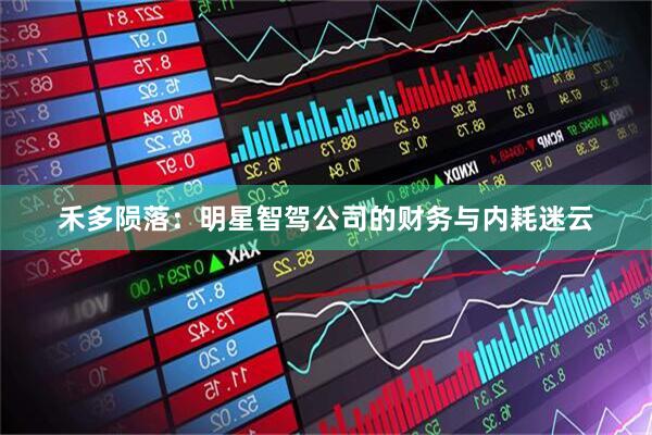 禾多陨落：明星智驾公司的财务与内耗迷云
