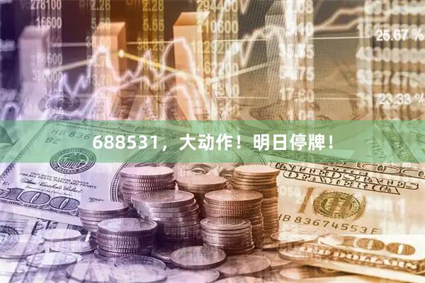 688531，大动作！明日停牌！