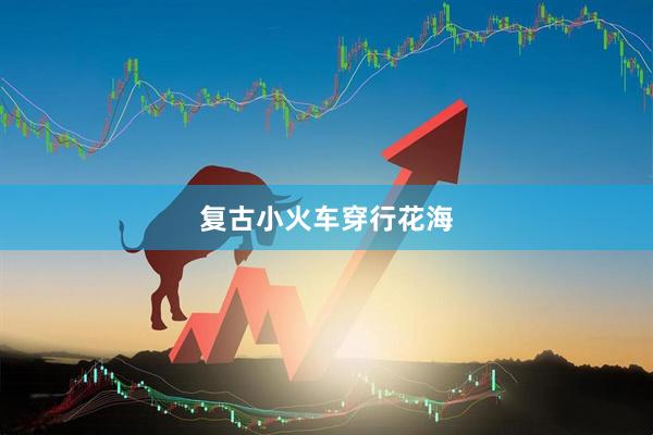 复古小火车穿行花海