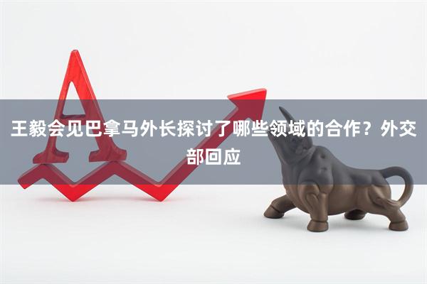 王毅会见巴拿马外长探讨了哪些领域的合作？外交部回应