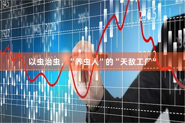 以虫治虫，“养虫人”的“天敌工厂”
